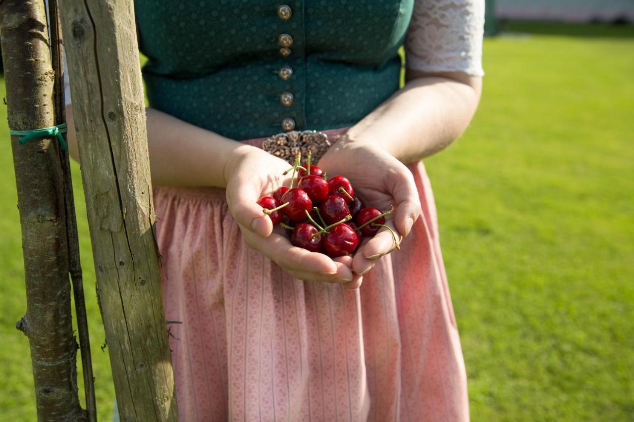 Obstgarten Gaestehaus Hollenstein an der Ybbs Esterno foto